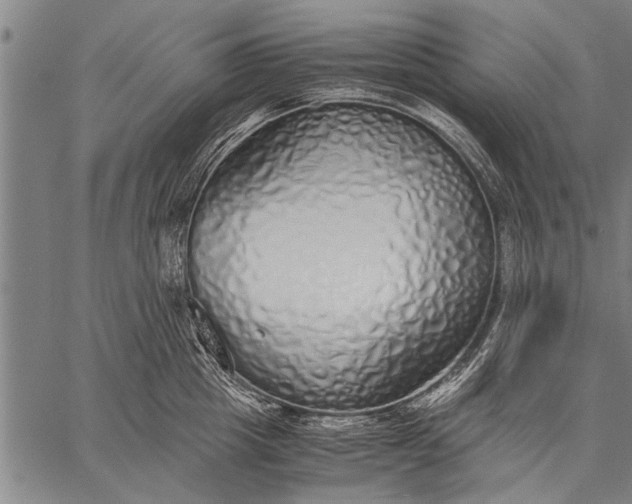 X0000057100857200509301615