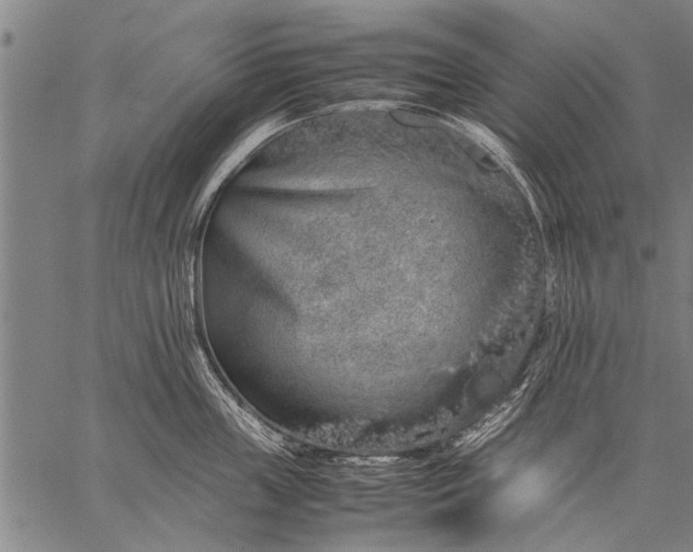 X0000057100859200509301615