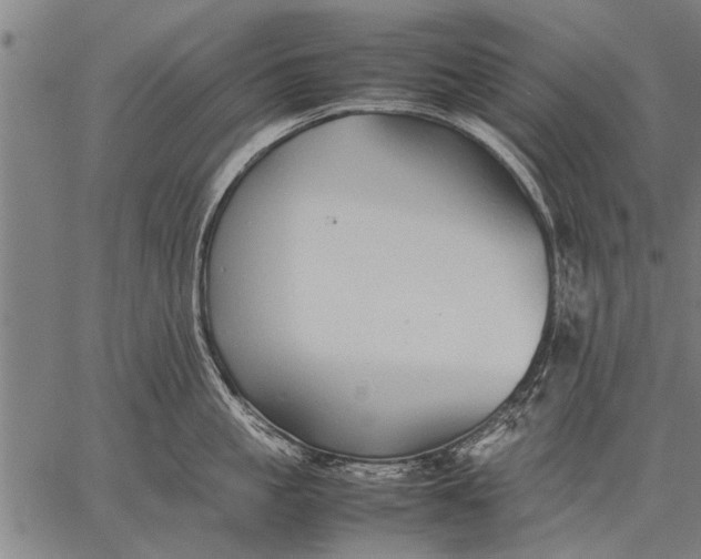 X0000057100861200509301615