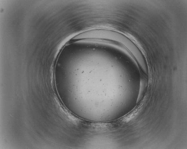 X0000057100862200509301615