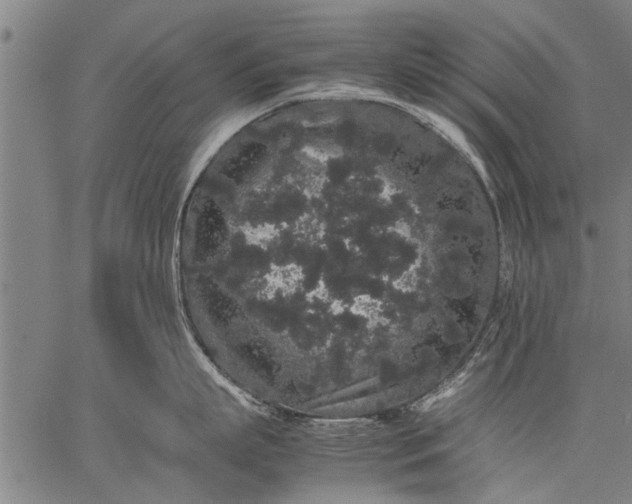 X0000057100863200509301615