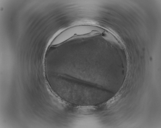 X0000057100864200509301615