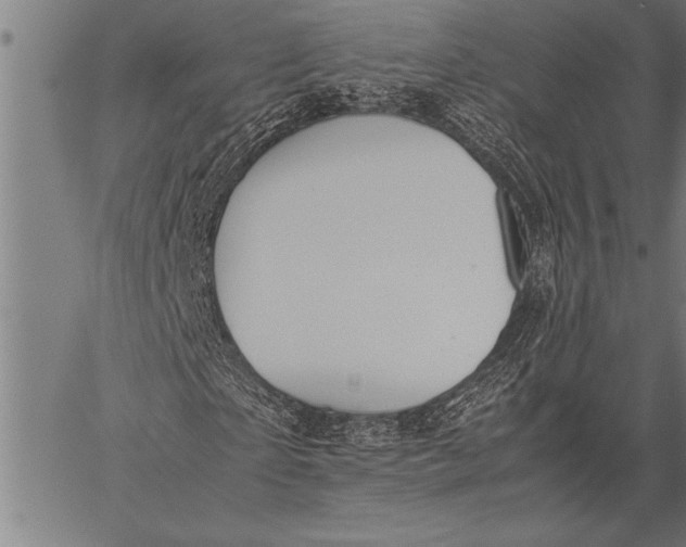 X0000057100865200509301614