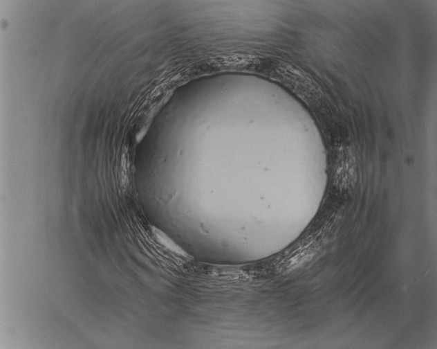 X0000057100866200509301614