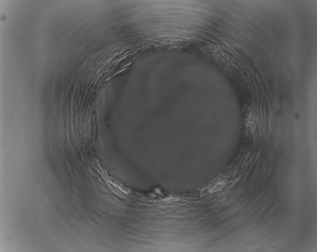 X0000057100868200509301614