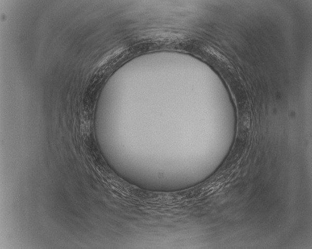 X0000057100869200509301614