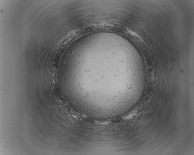 X0000057100870200509301614