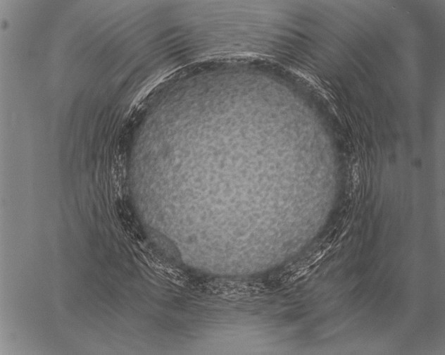 X0000057100871200509301614