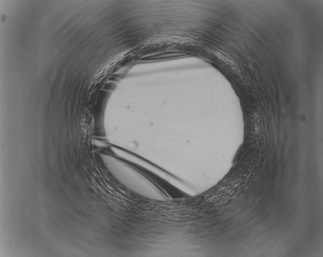 X0000057100872200509301614