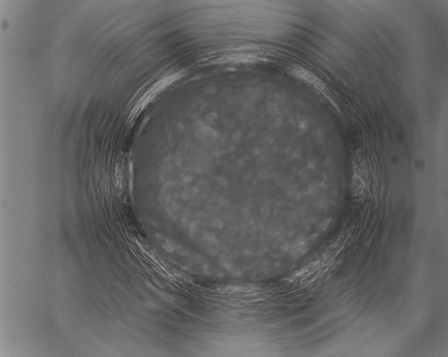 X0000057100874200509301614