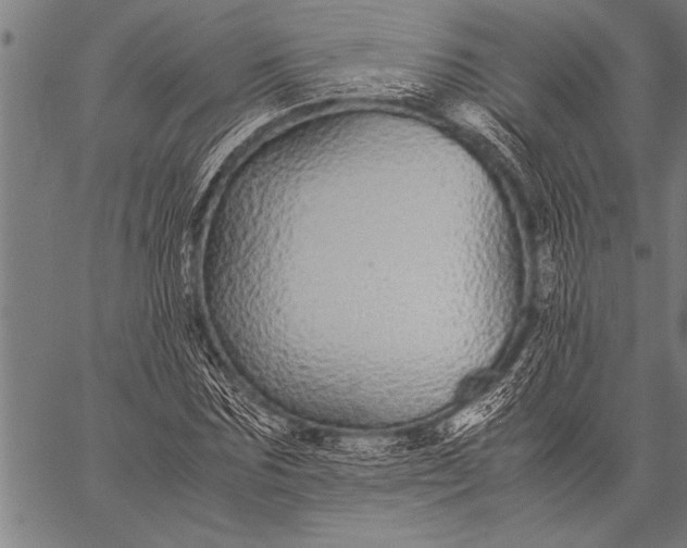 X0000057100875200509301614