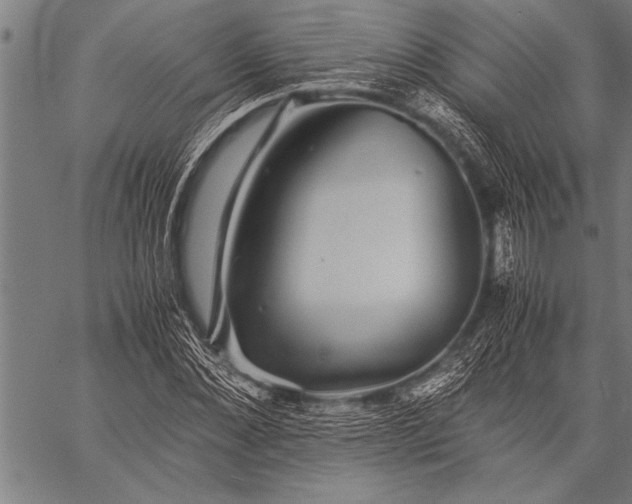 X0000057100876200509301614