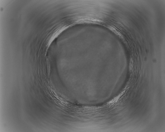 X0000057100877200509301614