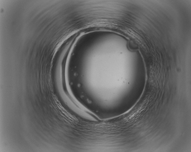 X0000057100880200509301614