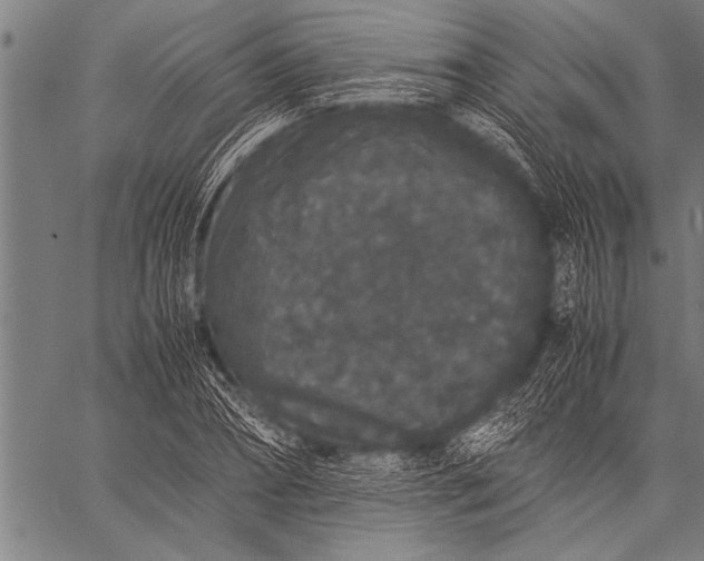 X0000057100882200509301614