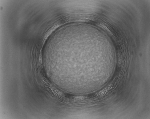 X0000057100883200509301614