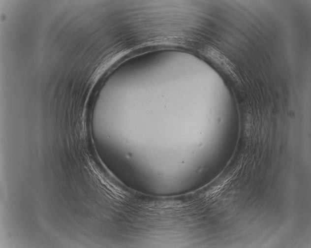 X0000057100884200509301614