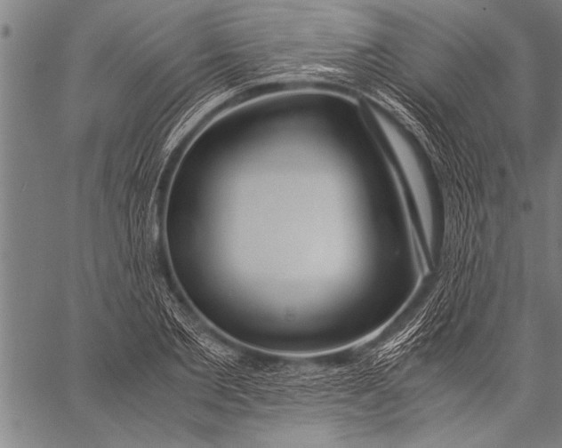 X0000057100885200509301614