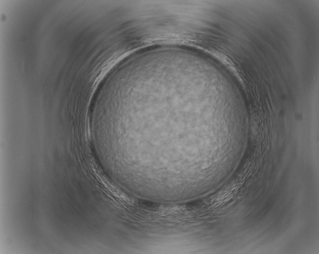 X0000057100887200509301614