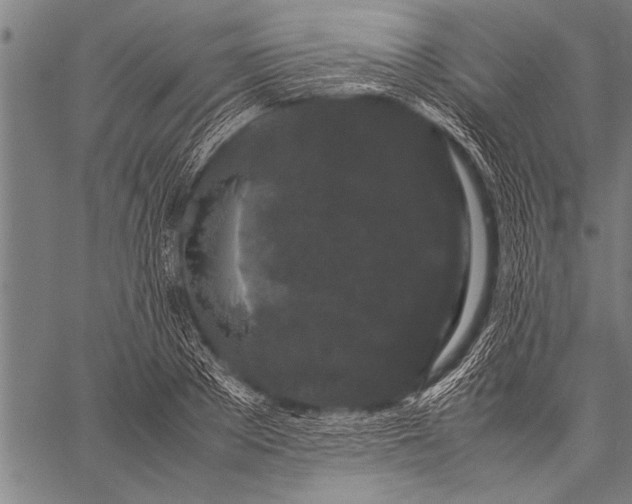 X0000057100889200509301614