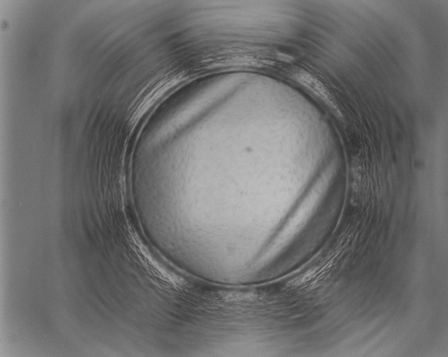 X0000057100890200509301614