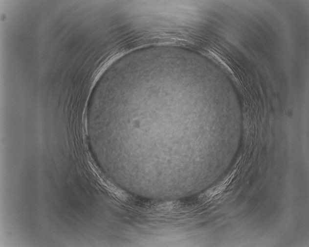 X0000057100891200509301614