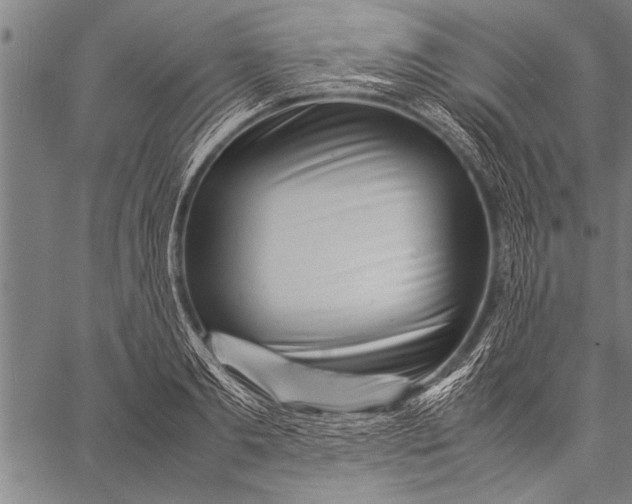 X0000057100893200509301614