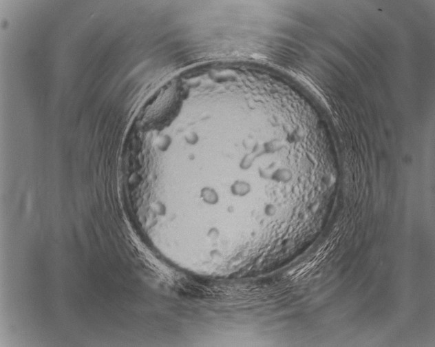 X0000057100895200509301614