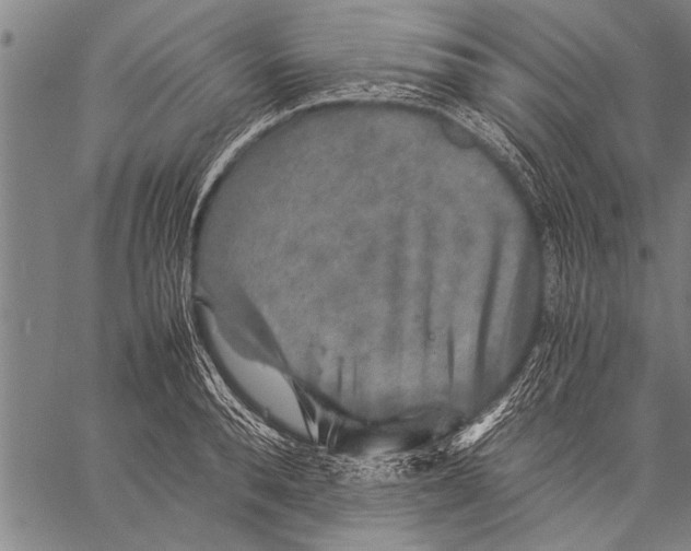 X0000057100896200509301614