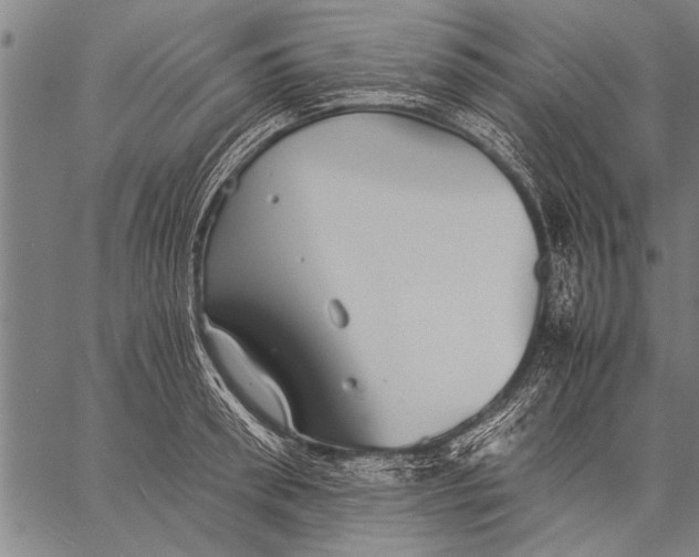 X0000057100898200509301614