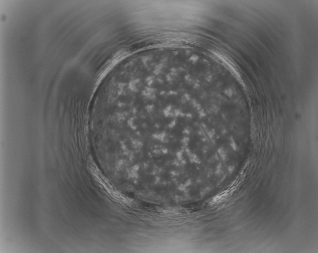 X0000057100899200509301614