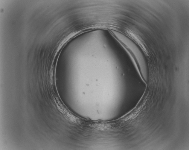 X0000057100900200509301614