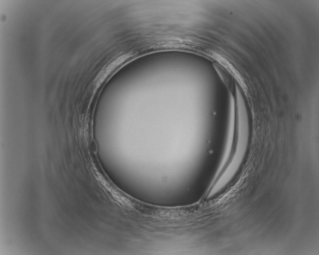 X0000057100901200509301614