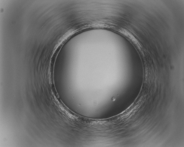 X0000057100902200509301614