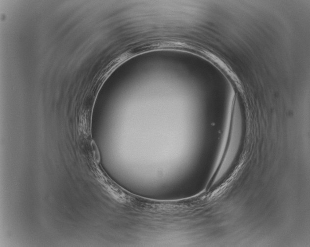 X0000057100905200509301614