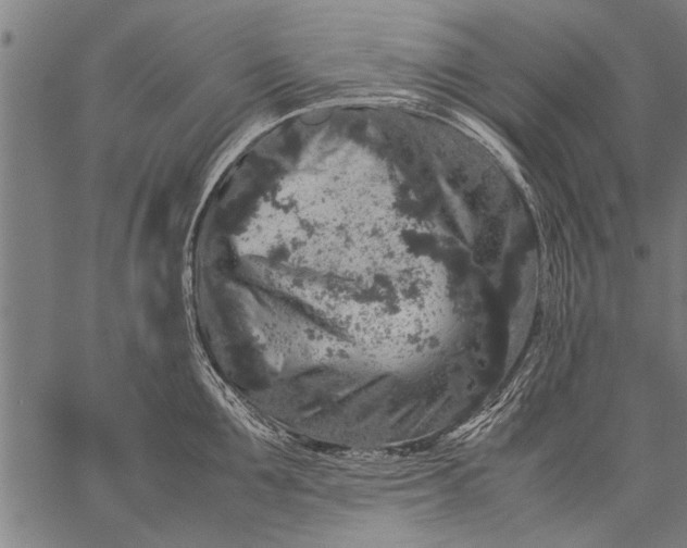 X0000057100907200509301614