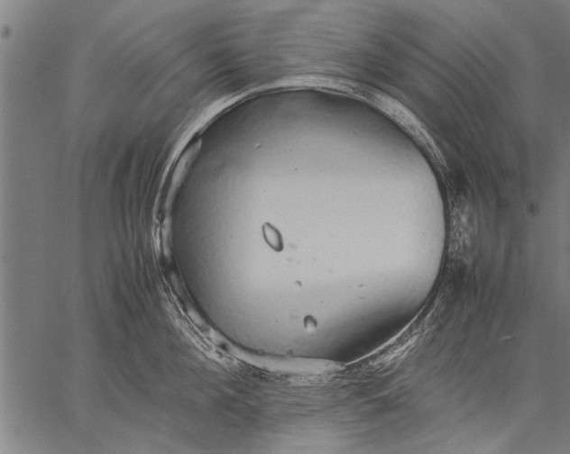 X0000057100908200509301614