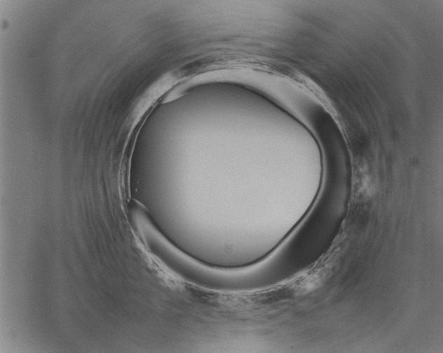 X0000057100909200509301614