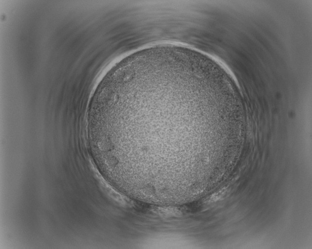 X0000057100911200509301614