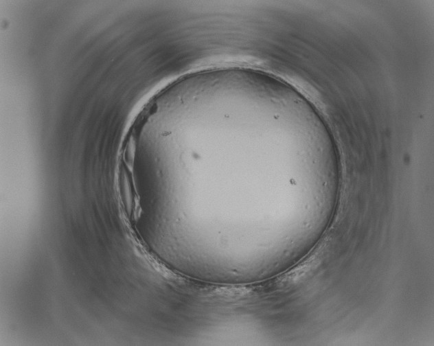 X0000057100912200509301614