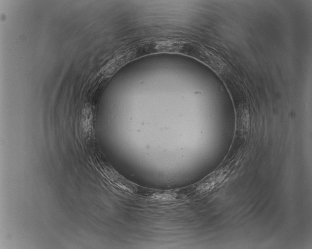 X0000057100914200509301613