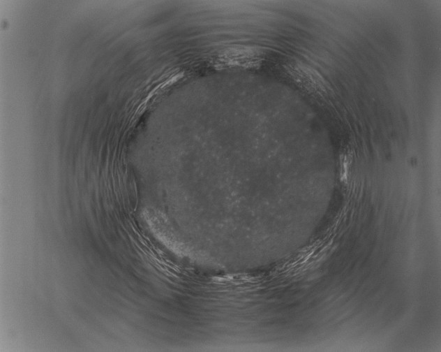 X0000057100915200509301613