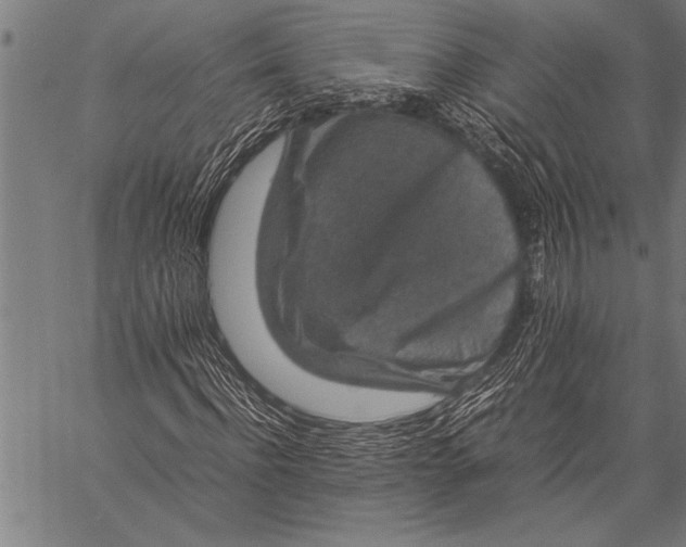 X0000057100916200509301613