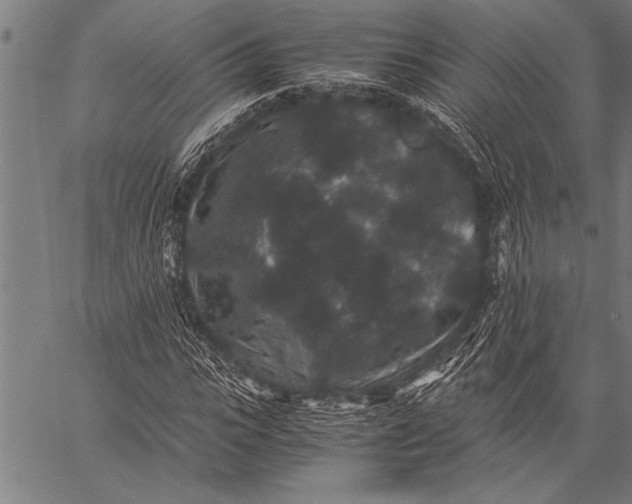 X0000057100919200509301613