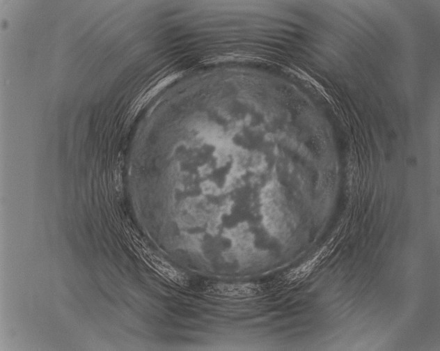 X0000057100921200509301613