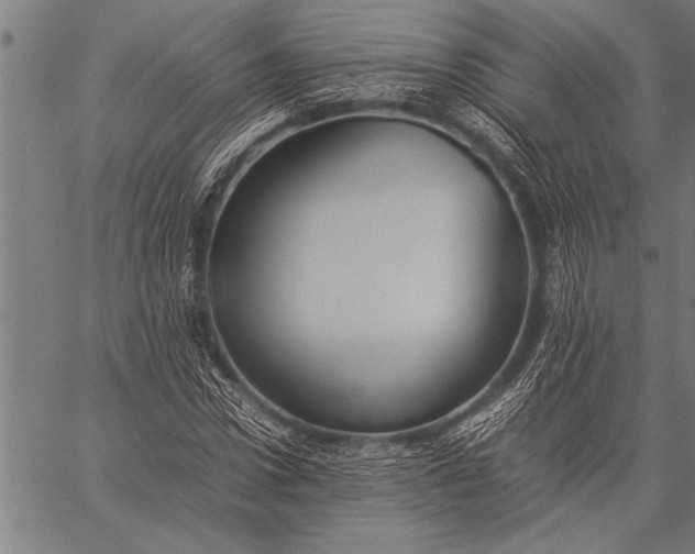 X0000057100922200509301613