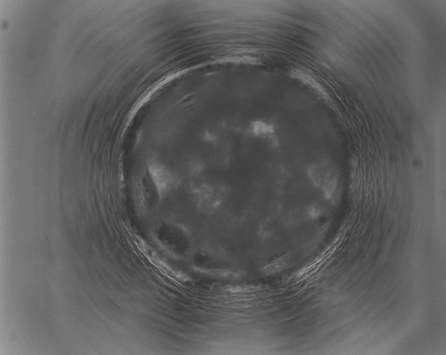 X0000057100923200509301613