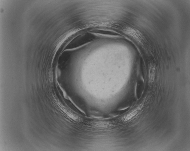 X0000057100924200509301613