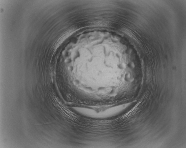 X0000057100925200509301613