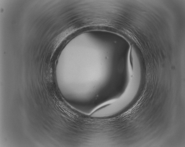 X0000057100926200509301613